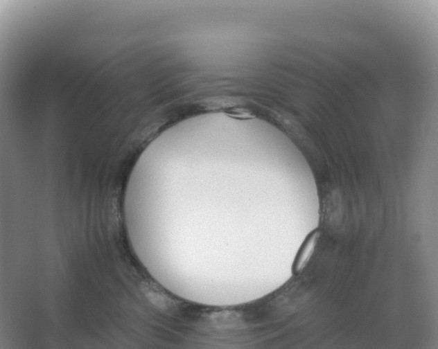 X0000066960426200604142120