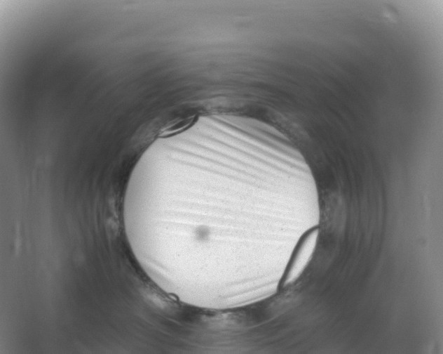 X0000066960430200604142120