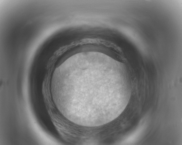 X0000066960431200604142120