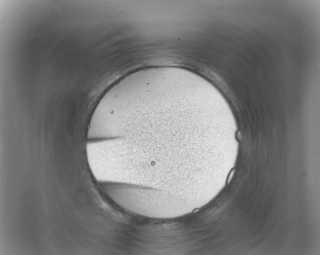 X0000066960433200604142119