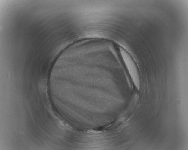 X0000066960434200604142119