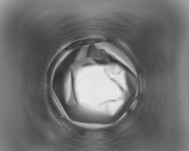 X0000066960435200604142119