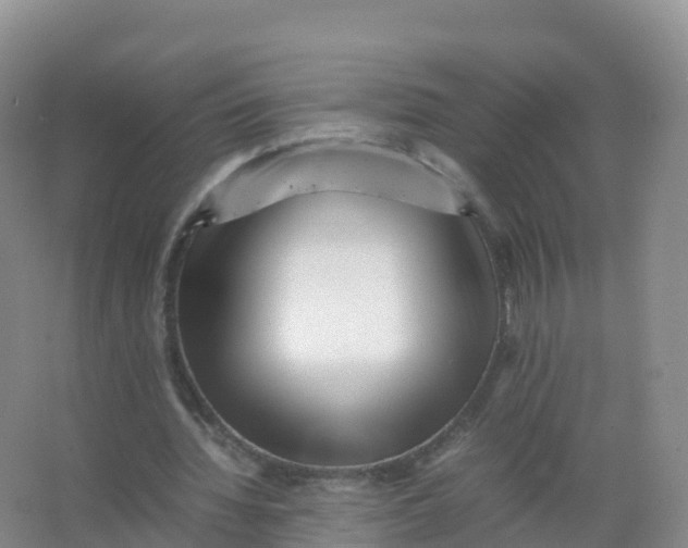 X0000066960436200604142119