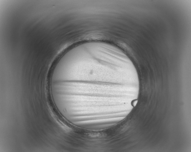 X0000066960439200604142119