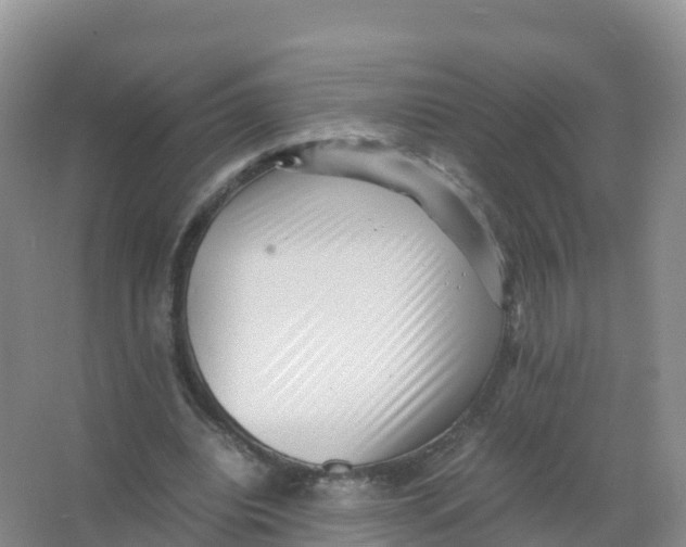 X0000066960440200604142119