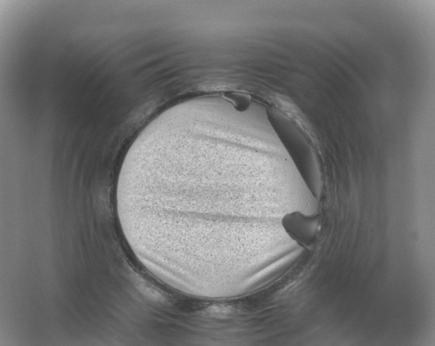 X0000066960441200604142119