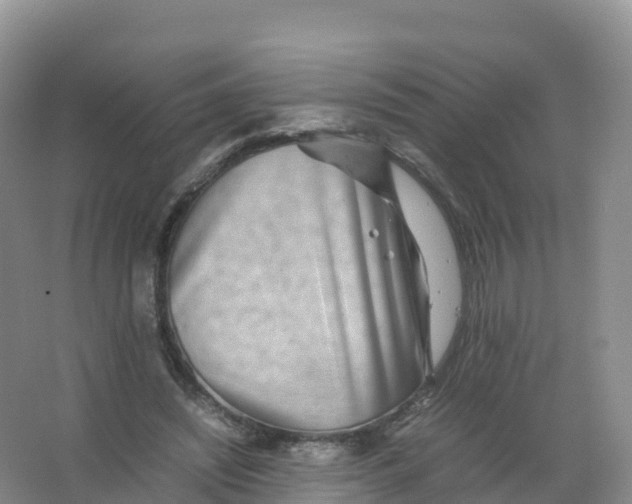 X0000066960444200604142119