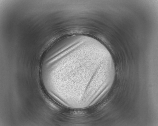 X0000066960445200604142119