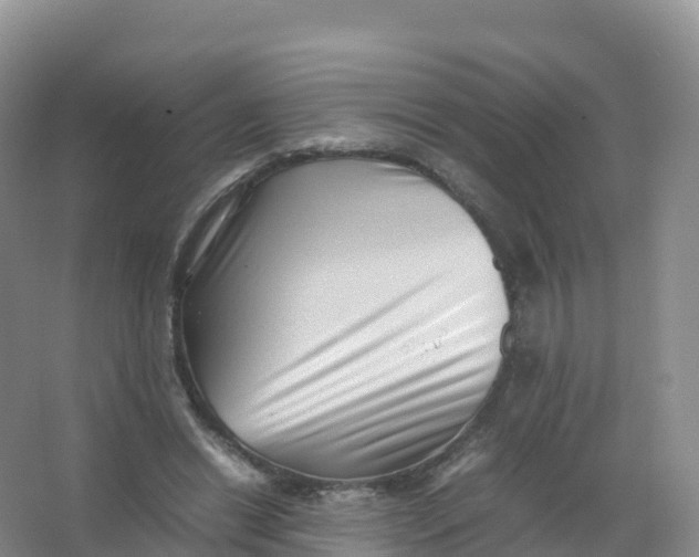 X0000066960446200604142119