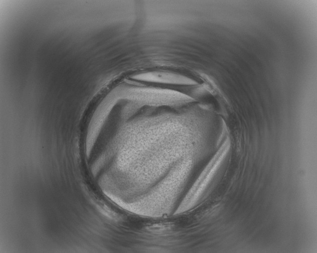 X0000066960447200604142119