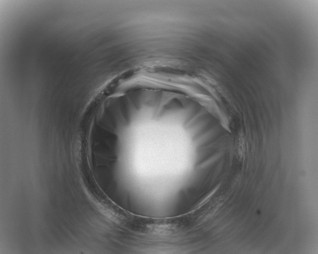 X0000066960448200604142119