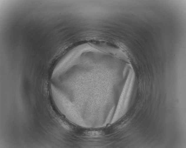 X0000066960449200604142119