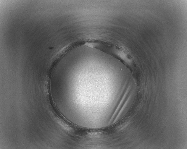 X0000066960450200604142119