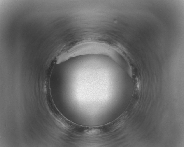 X0000066960452200604142119