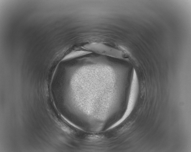 X0000066960453200604142119