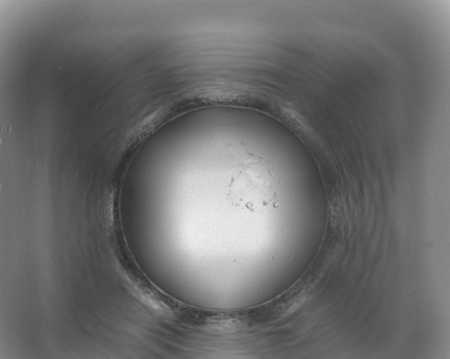 X0000066960454200604142119