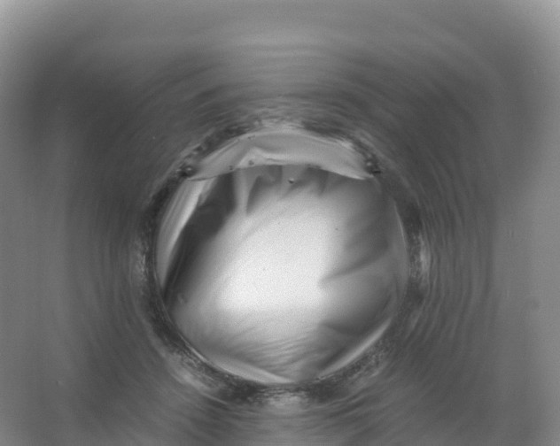 X0000066960456200604142119