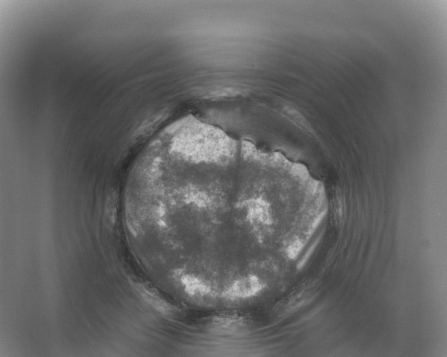 X0000066960458200604142119