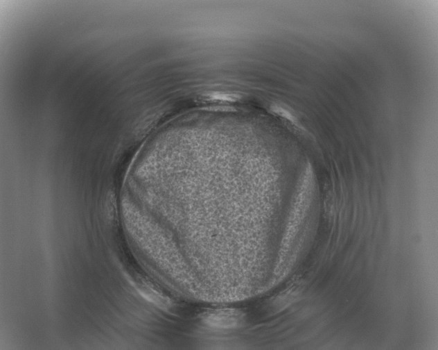 X0000066960459200604142119