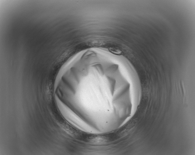 X0000066960460200604142119