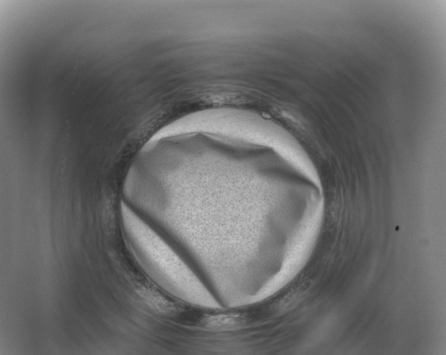 X0000066960461200604142119