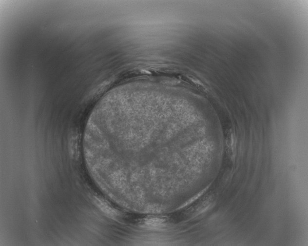 X0000066960462200604142119