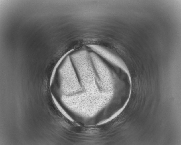 X0000066960463200604142119