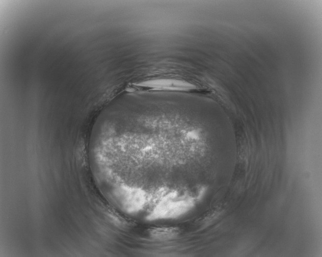 X0000066960465200604142119