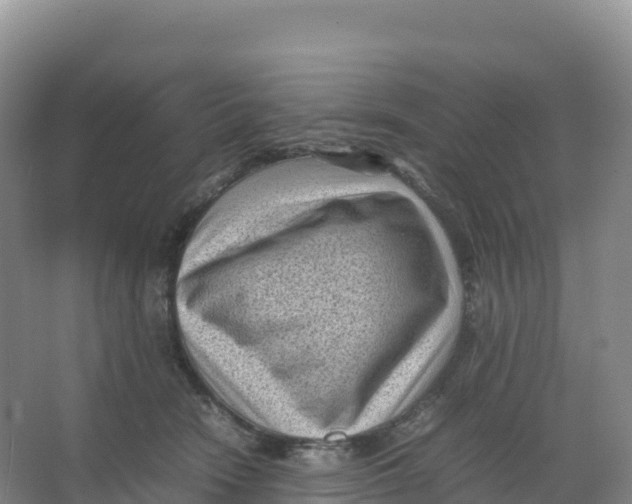 X0000066960466200604142119