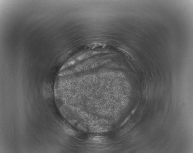 X0000066960467200604142119