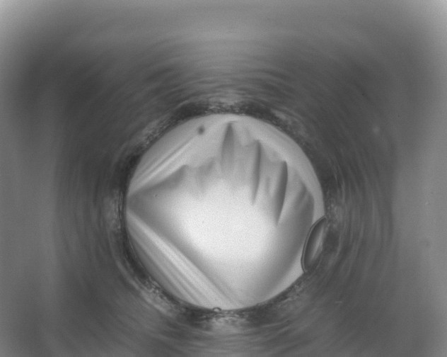 X0000066960468200604142120