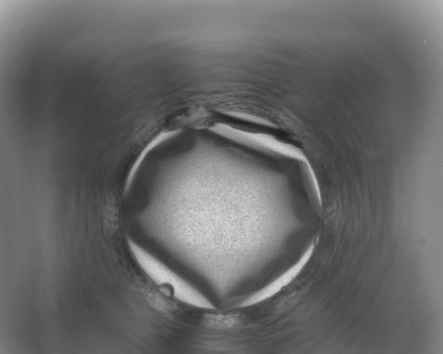 X0000066960469200604142120