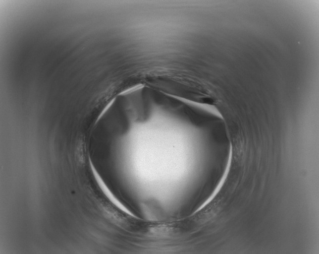 X0000066960470200604142120