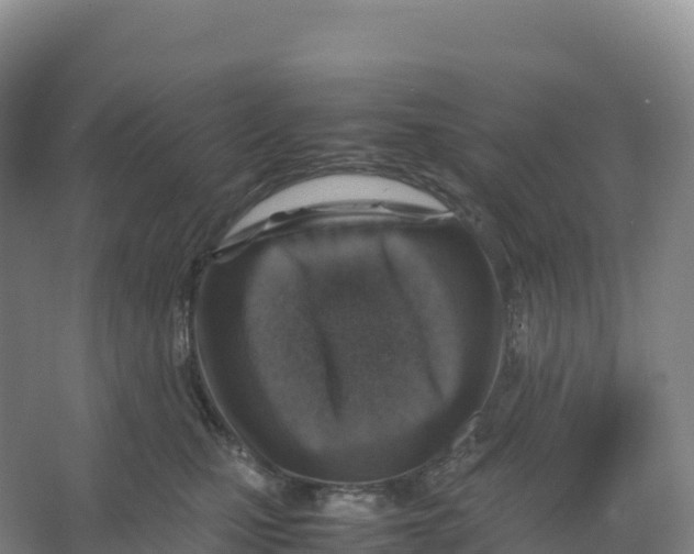 X0000066960471200604142120