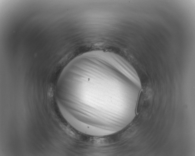 X0000066960472200604142120