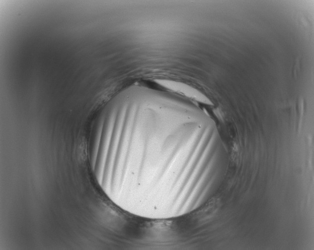 X0000066960474200604142120