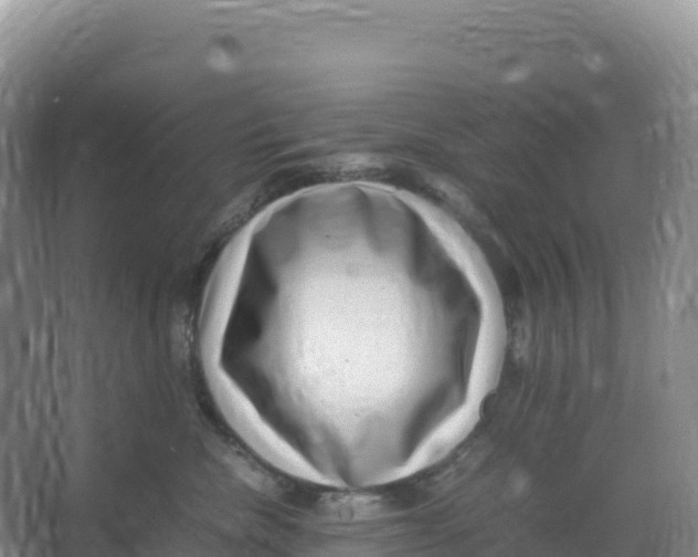 X0000066960476200604142120