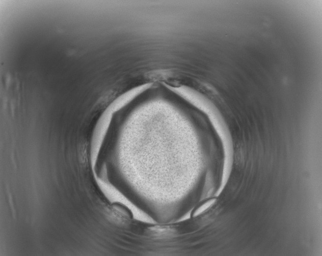 X0000066960477200604142120