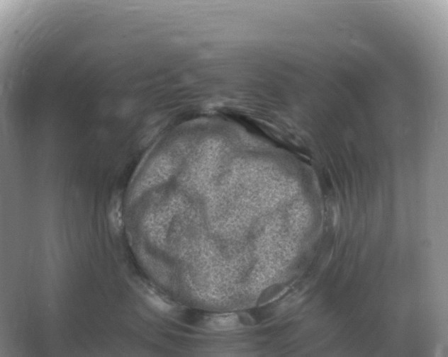 X0000066960479200604142120