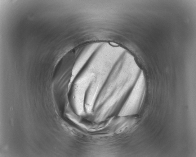 X0000066960481200604142119