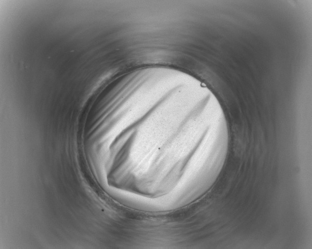 X0000066960482200604142119