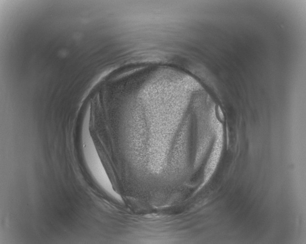 X0000066960483200604142119