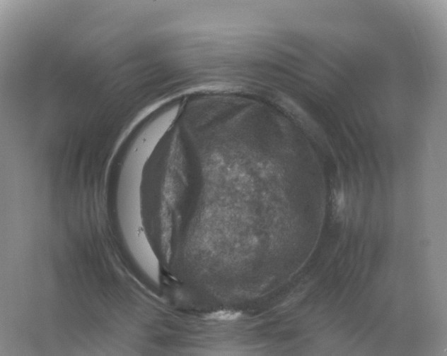 X0000066960484200604142119