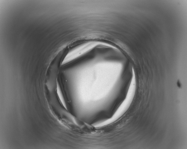 X0000066960485200604142119