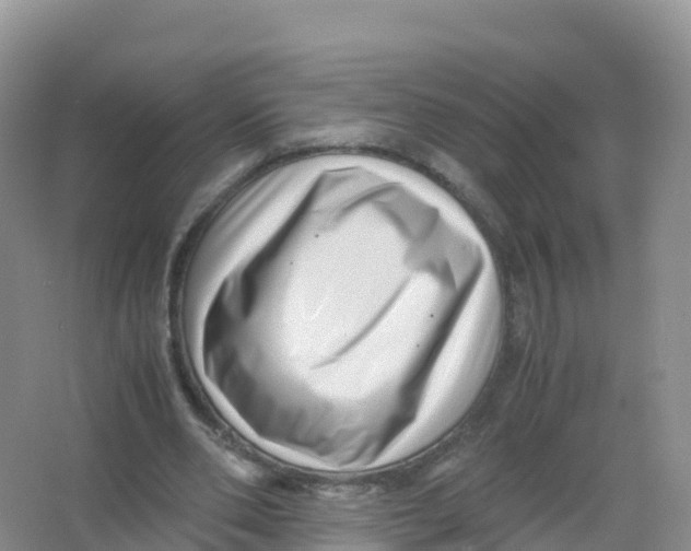 X0000066960486200604142119