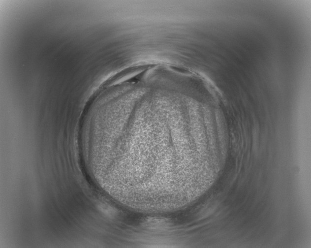 X0000066960487200604142119