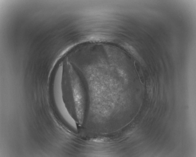 X0000066960488200604142119