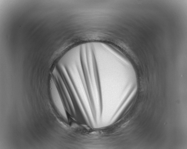 X0000066960489200604142119