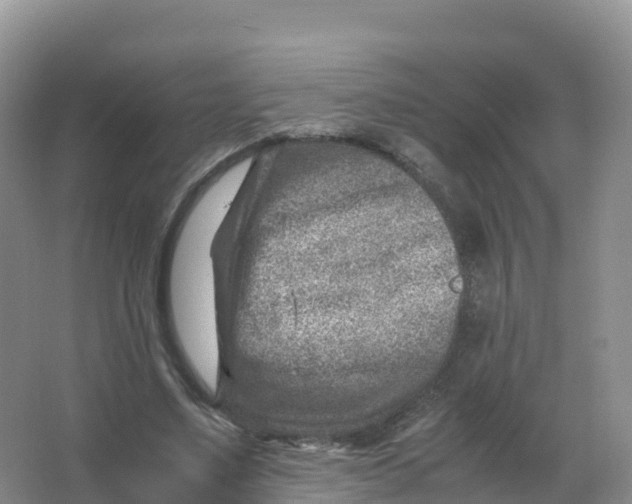 X0000066960491200604142119