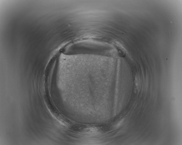 X0000066960492200604142119